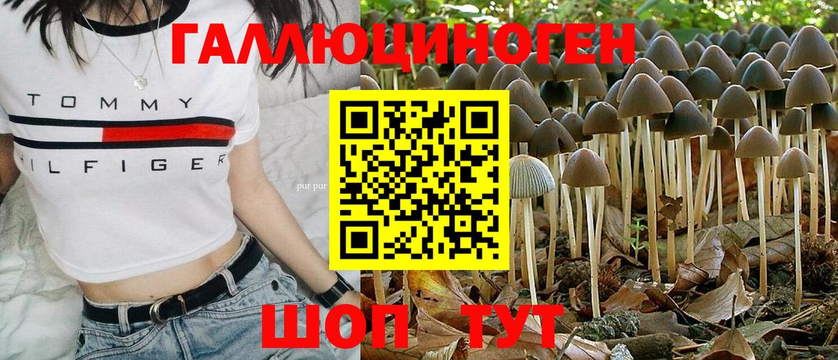 Качканар  Галлюциногенные грибы Magic Shrooms  купить наркотик  Вход с VPN 