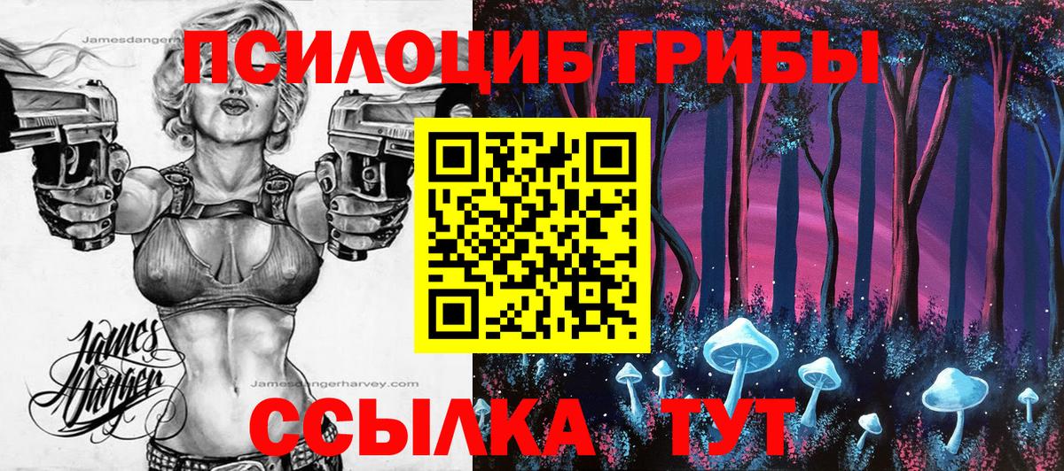 Галлюциногенные грибы Magic Shrooms Качканар